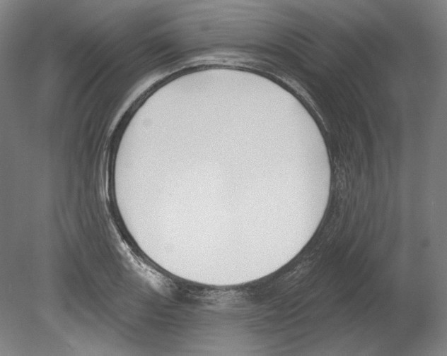 X0000080151131200701051532