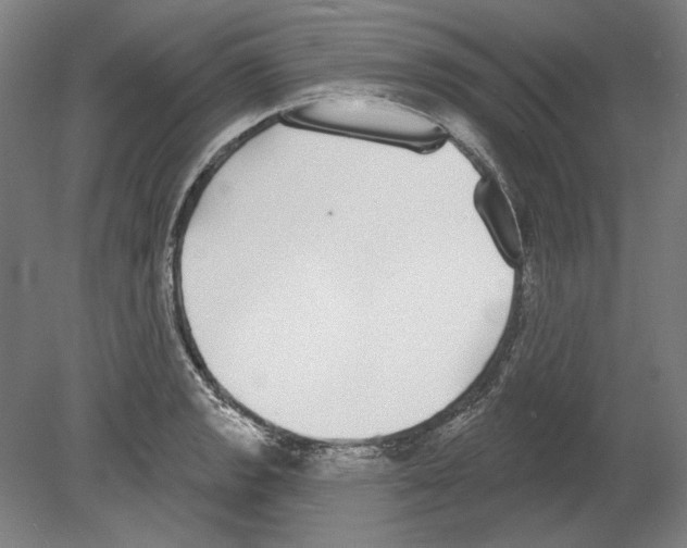 X0000080151133200701051532