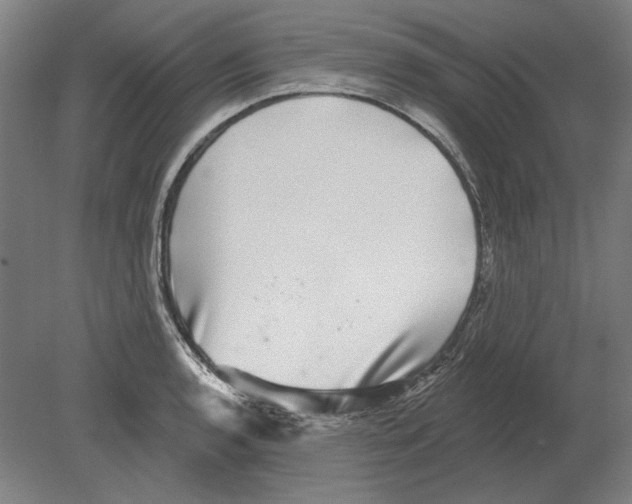 X0000080151136200701051532