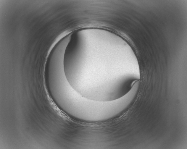 X0000080151138200701051532