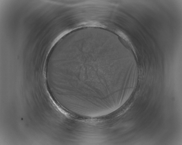 X0000080151141200701051533