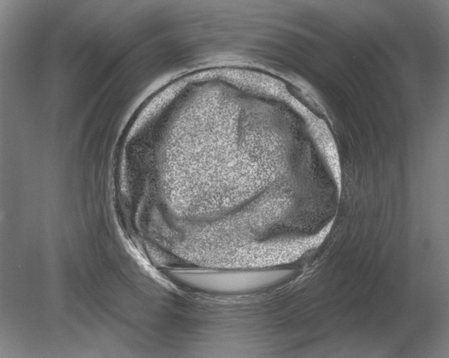 X0000080151142200701051533