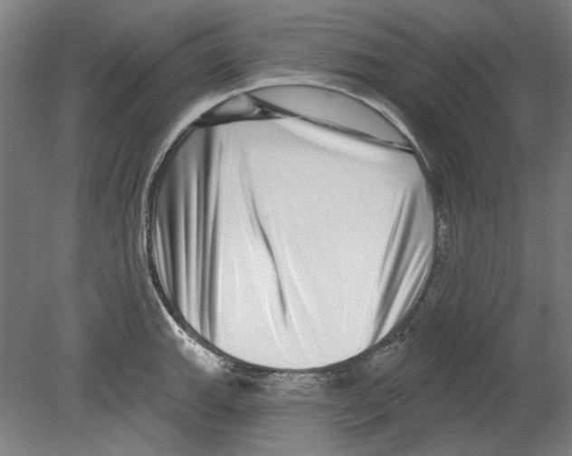 X0000080151143200701051533