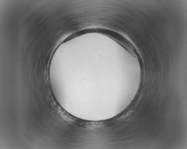 X0000080151145200701051533