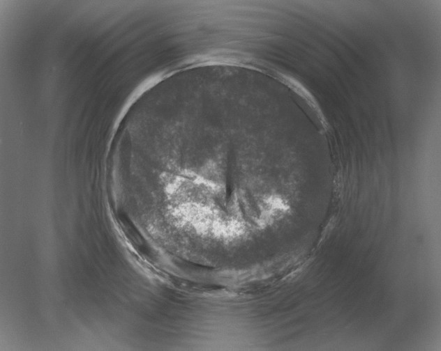 X0000080151146200701051533