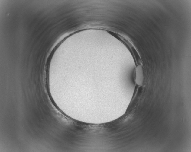 X0000080151147200701051533