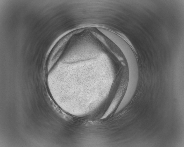 X0000080151148200701051533
