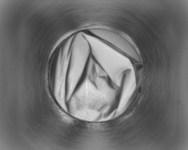 X0000080151149200701051533