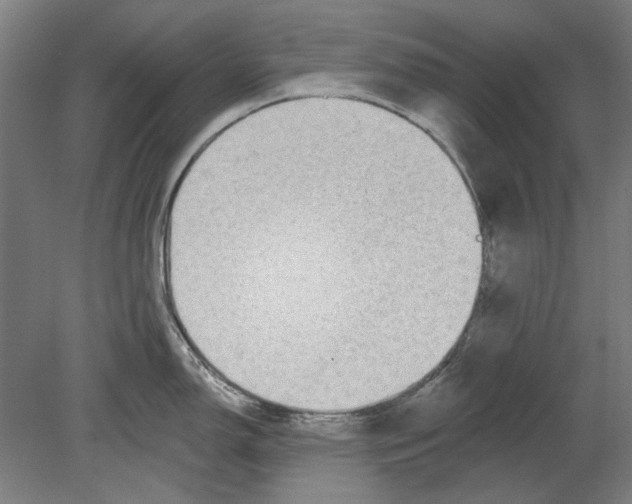 X0000080151150200701051533
