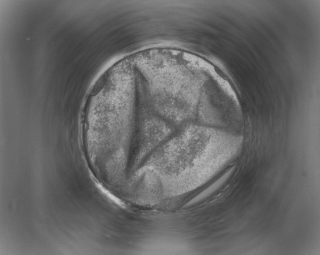 X0000080151151200701051533