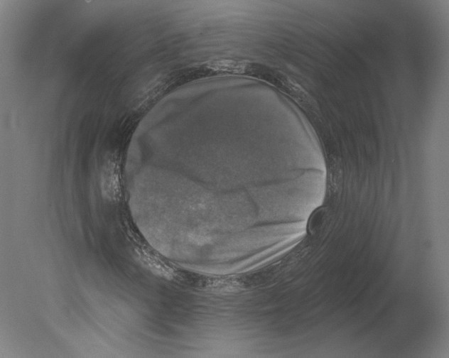 X0000080151154200701051532