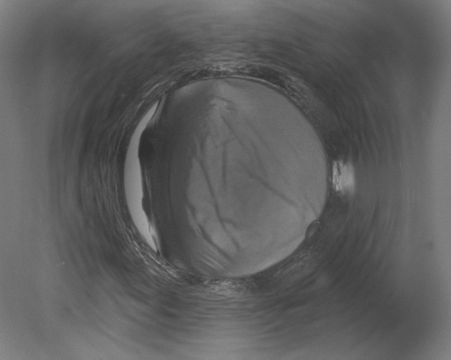 X0000080151155200701051532