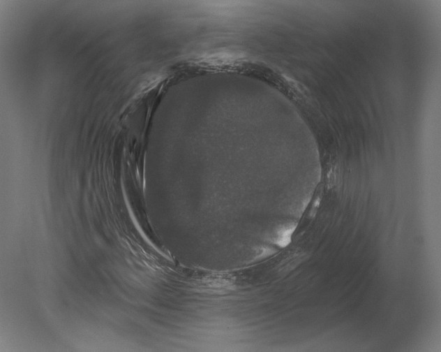 X0000080151156200701051532