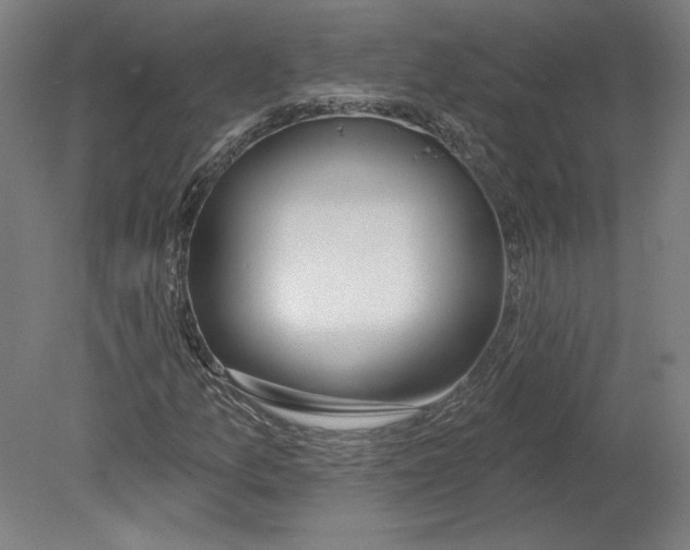 X0000080151157200701051532