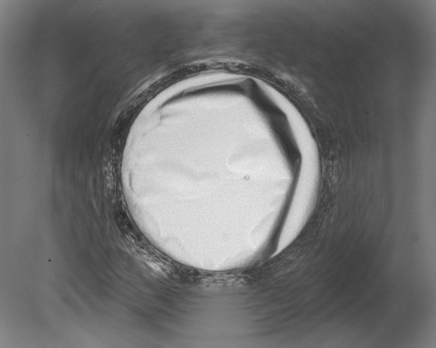 X0000080151159200701051532
