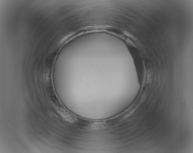 X0000080151161200701051532