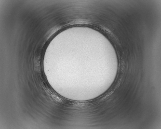 X0000080151162200701051532