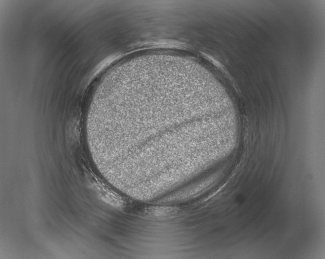 X0000080151163200701051532