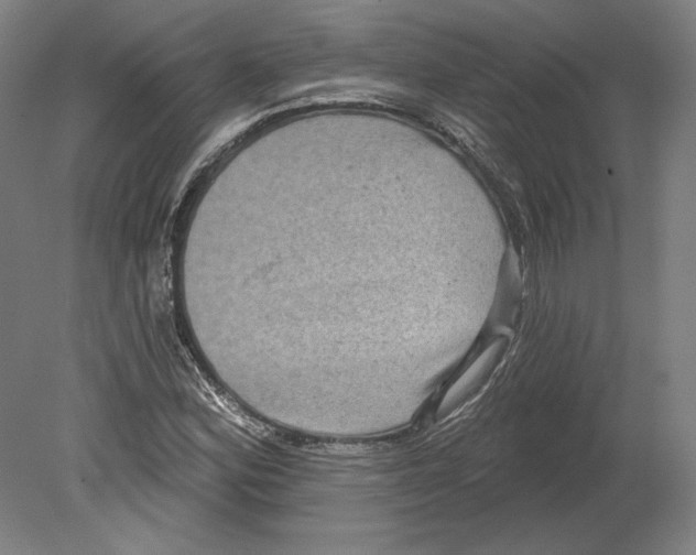 X0000080151164200701051532