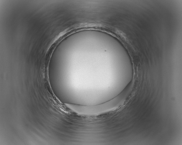 X0000080151165200701051532