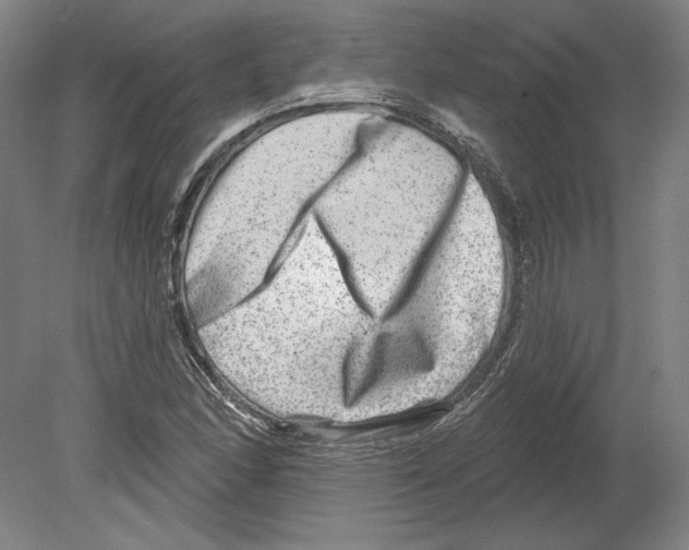 X0000080151166200701051532