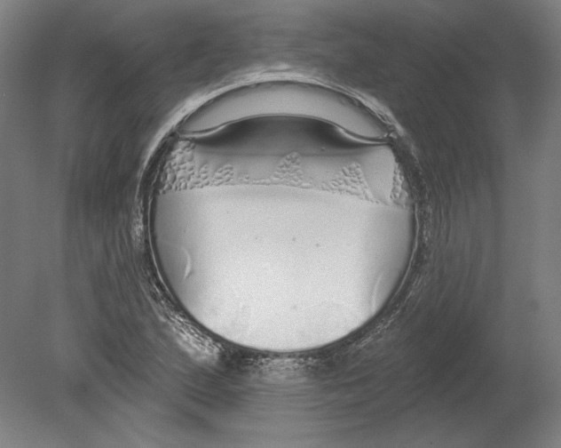 X0000080151167200701051532