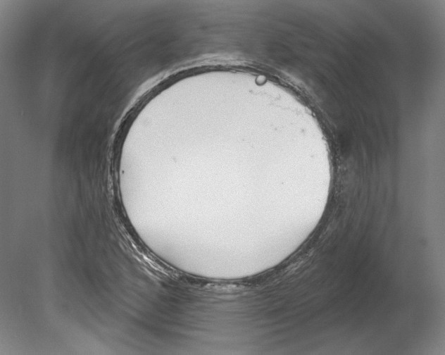 X0000080151168200701051532