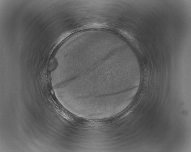 X0000080151170200701051532