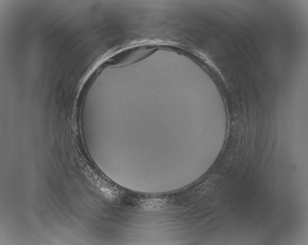 X0000080151173200701051532