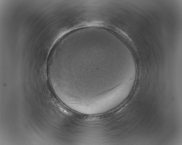X0000080151174200701051532