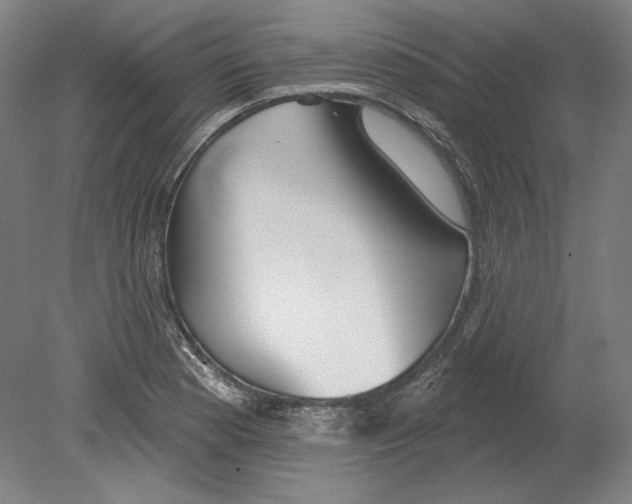 X0000080151177200701051532