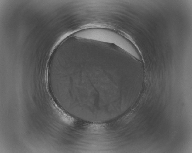 X0000080151179200701051531