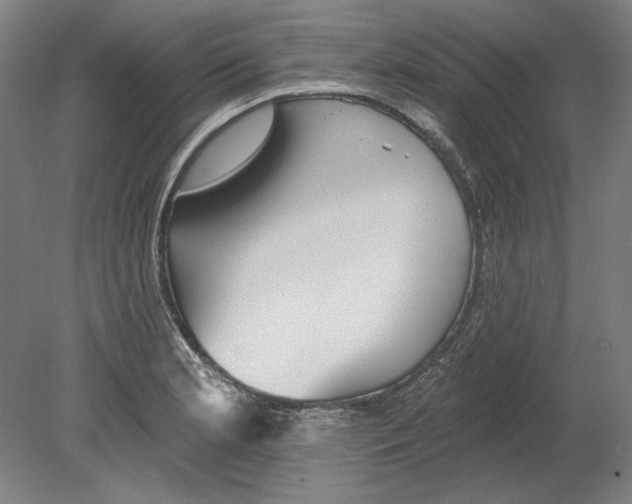 X0000080151181200701051531