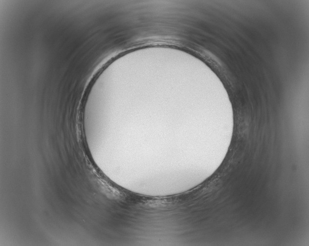 X0000080151182200701051531