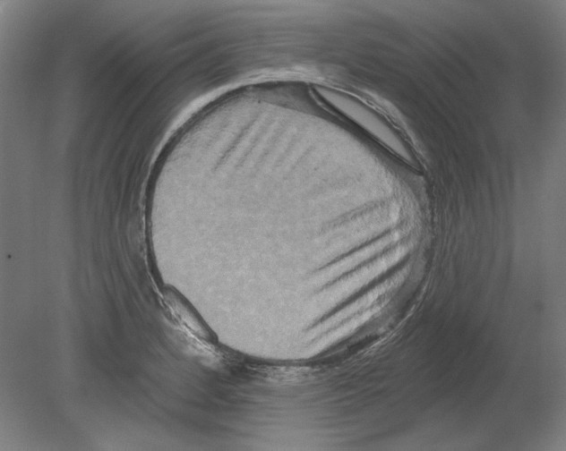 X0000080151184200701051531