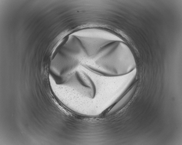 X0000080151185200701051531