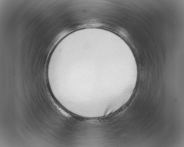 X0000080151186200701051531
