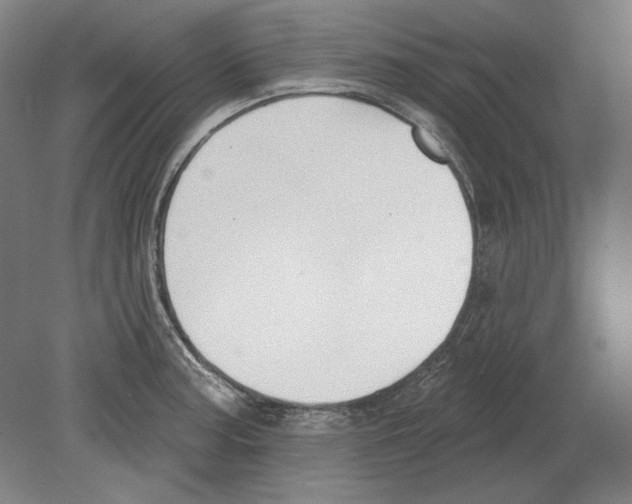 X0000080151187200701051531