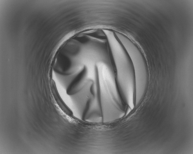 X0000080151189200701051531