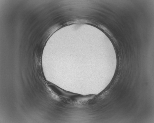 X0000080151193200701051531