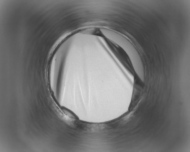 X0000080151196200701051531