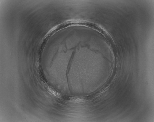 X0000080151213200701051530