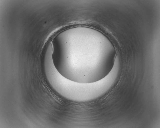 X0000080151214200701051530