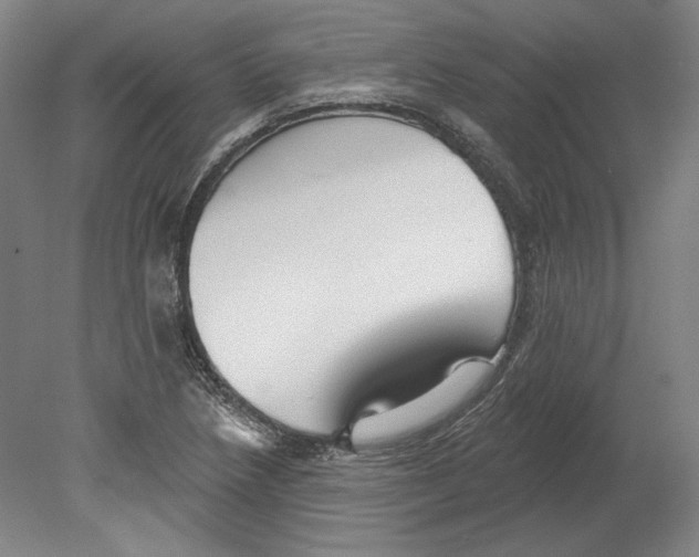 X0000080151218200701051531