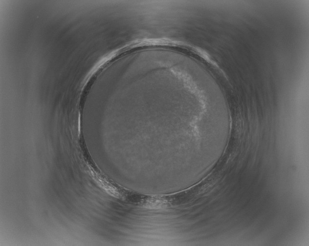X0000080151221200701051531