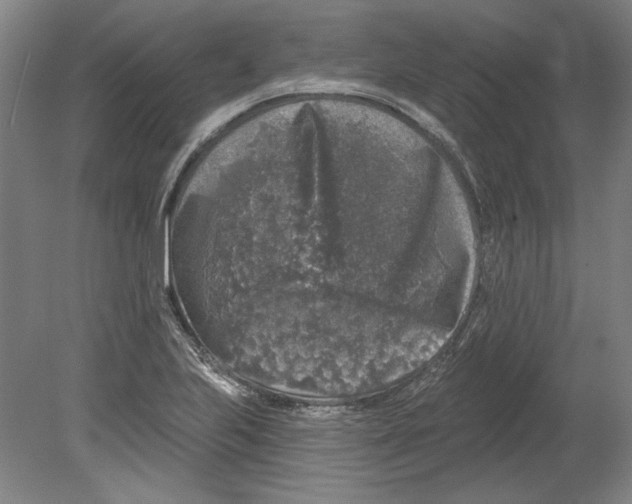 X0000080151223200701051531