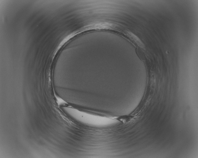 X0000080151226200701051531