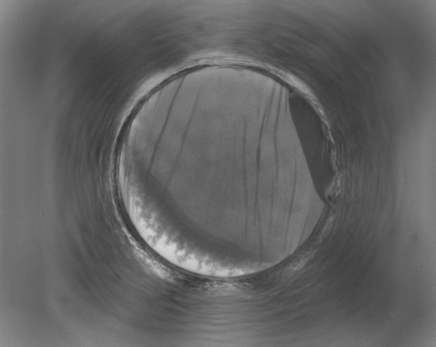 X0000080151231200701051531