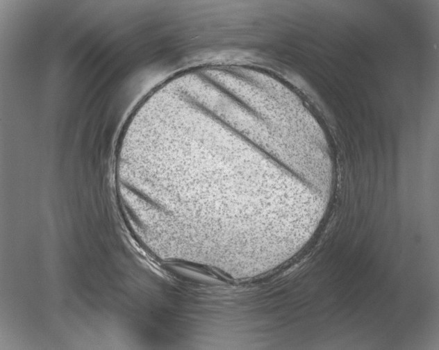 X0000080151232200701051531
