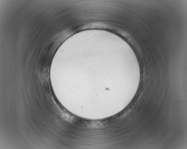 X0000080151233200701051531